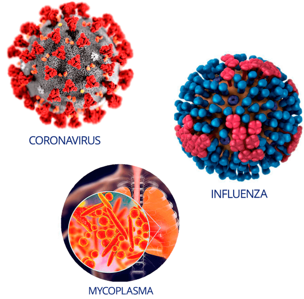 Coronavirus nCoV VS Influenza A and B VS Mycoplasma Pneumoniae