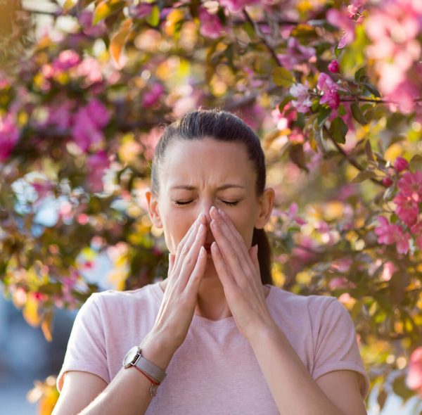The Saharan Dust and Your Allergies