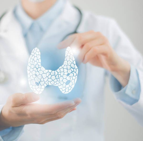 What the Thyroid Is and How it Affects Your Health
