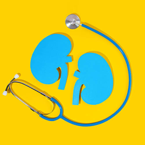 5 facts you did not know about your kidneys