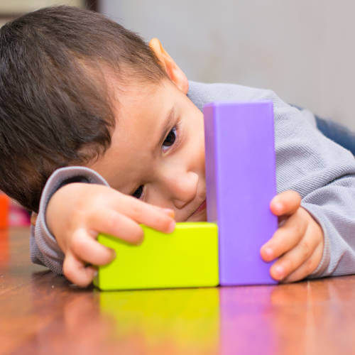 Facts You Should Know About Autism